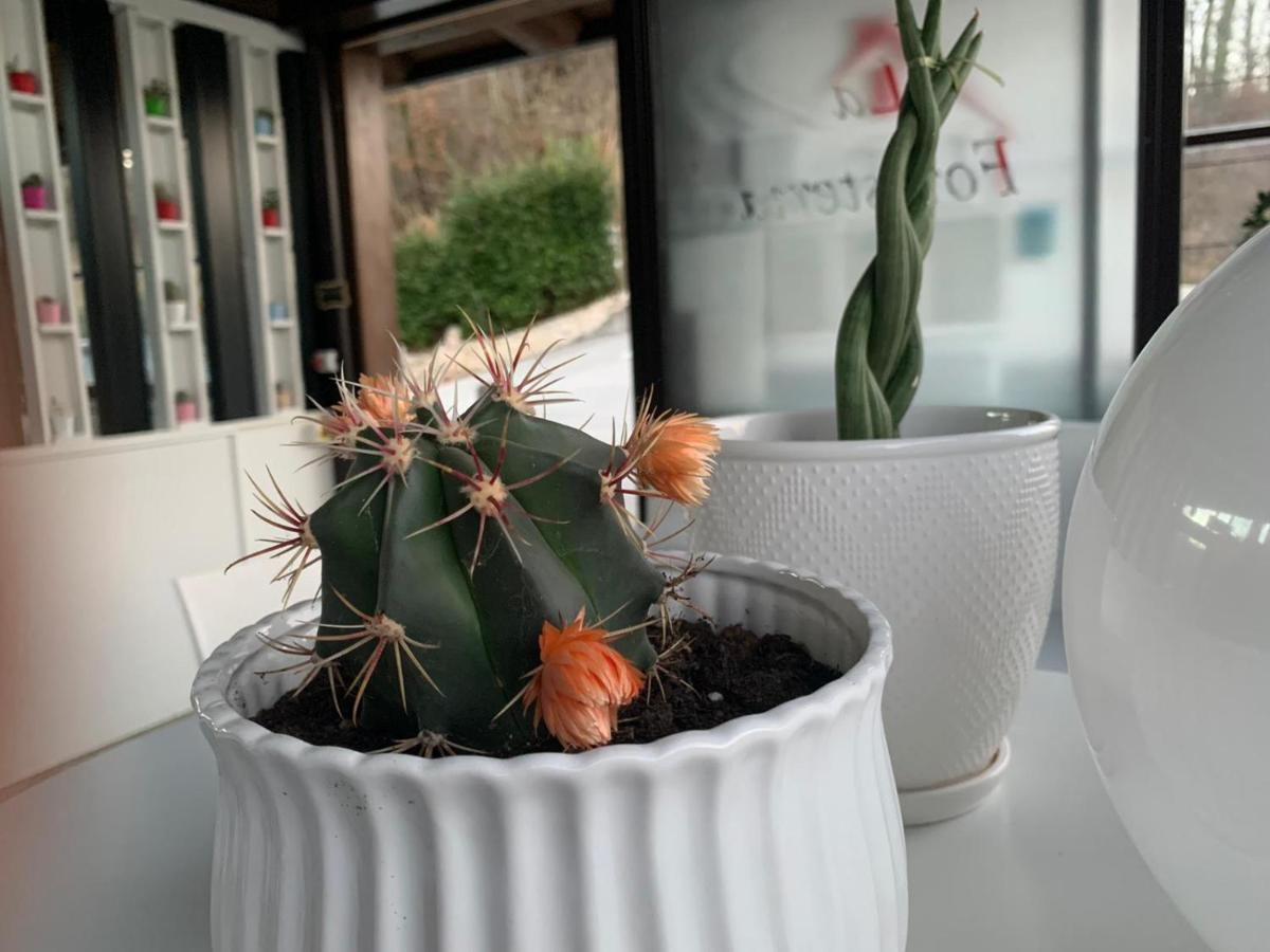 La Foresteria Vacchereccia Ngoại thất bức ảnh